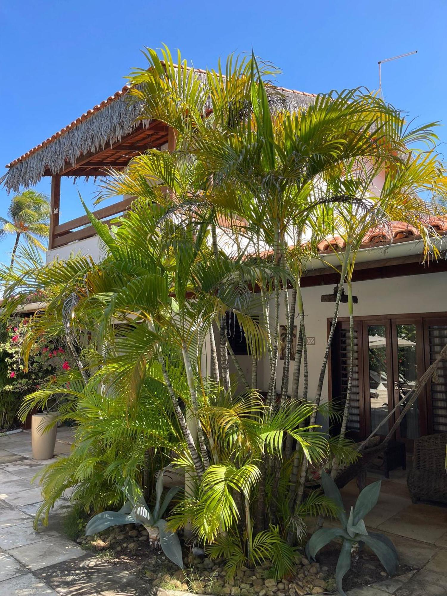 Controvento Boutique Hotel Cumbuco Ngoại thất bức ảnh